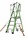 Little Giant Safety Cage Series 2.0