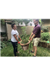Garden Dolly Landscaping Strap Max Load: 370kg