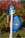 Tractel Tracrod Mobile Anchor System for Confined Spaces