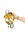 PETZL B19AAA Ascentree Rope Clamp