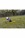 Lyon LPP0006 Ground Anchor Stake